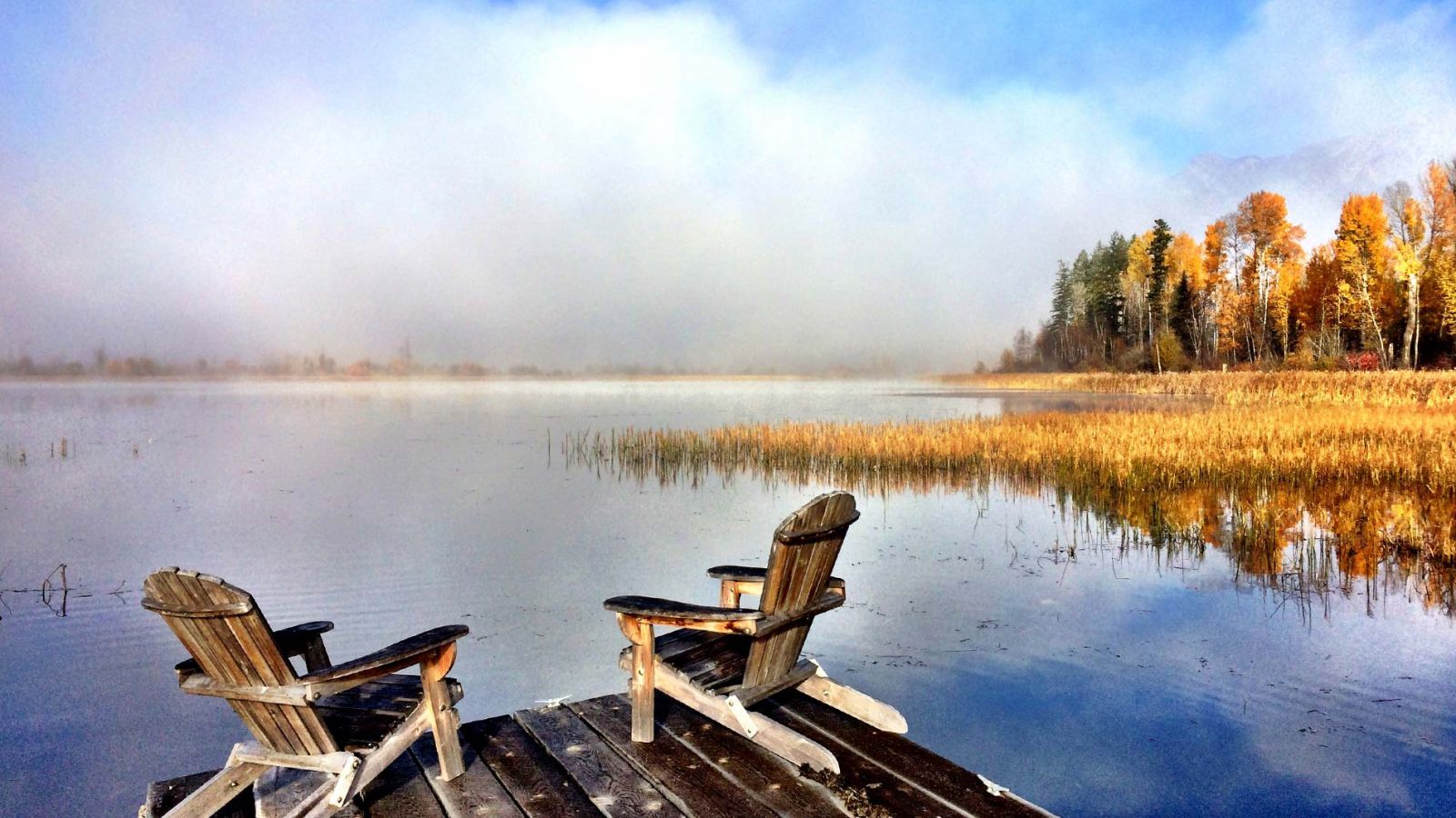 Dock View of Wetlands