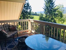 Farmhouse Suite Patio View