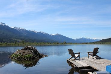 View from Wetlands Dock