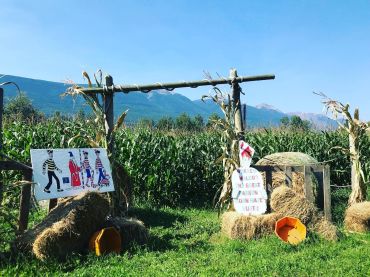 Corn Maze Entrance