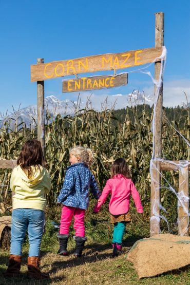 Kids Entering Corn Maze