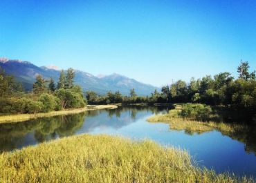 Columbia Wetlands