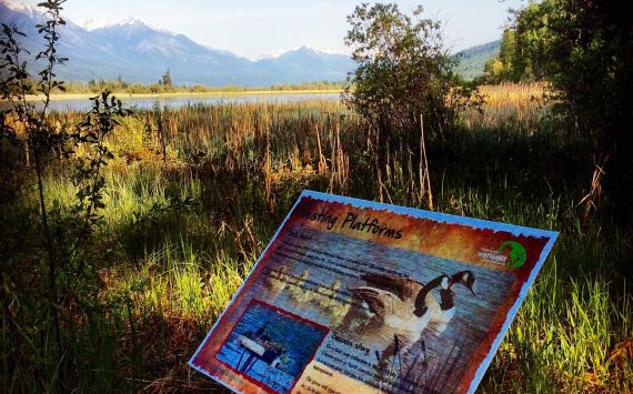 Waterside Informational Sign